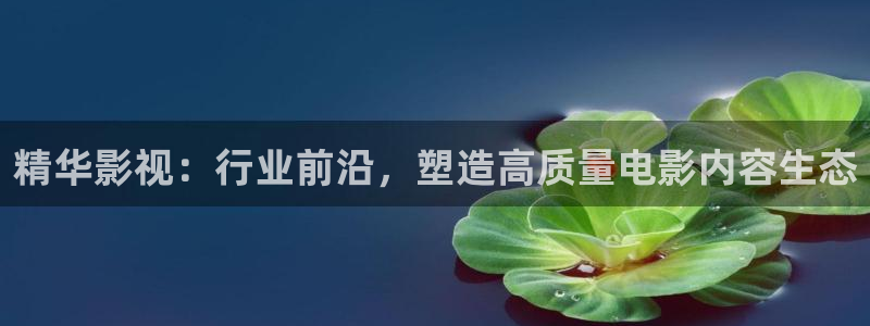 樱花视频图片：精华影视：行业前沿，塑造高质量电影内容生态