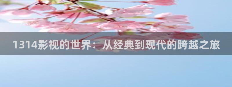 樱花影视一区：1314影视的世界：从经典到现代的跨越之旅