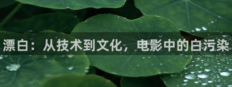 樱花视频在线观看完整版：漂白：从技术到文化，电影中的白污染