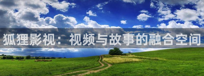 樱花视频免费观看量：狐狸影视：视频与故事的融合空间