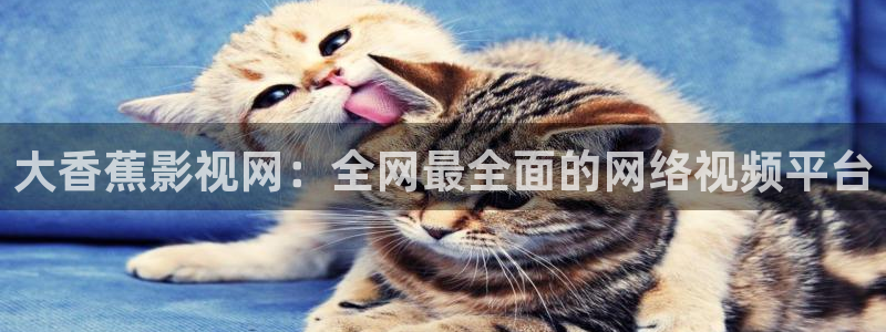樱花视频高清免费看：大香蕉影视网：全网最全面的网络视频平台