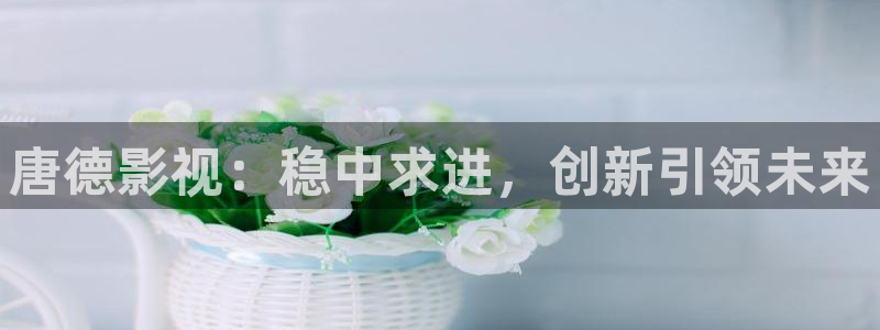 樱花视频9.1：唐德影视：稳中求进，创新引领未来