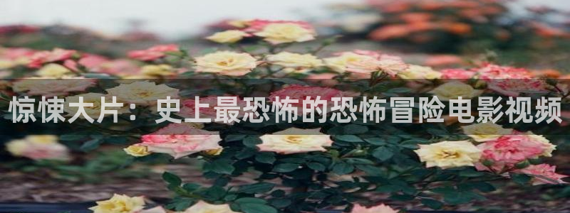 樱花视频官：惊悚大片：史上最恐怖的恐怖冒险电影视频