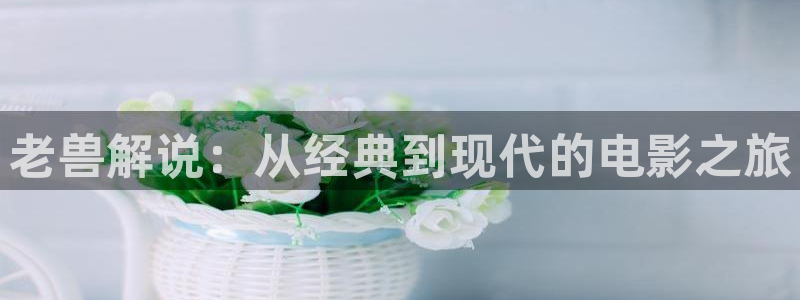 高清樱花视频：老兽解说：从经典到现代的电影之旅