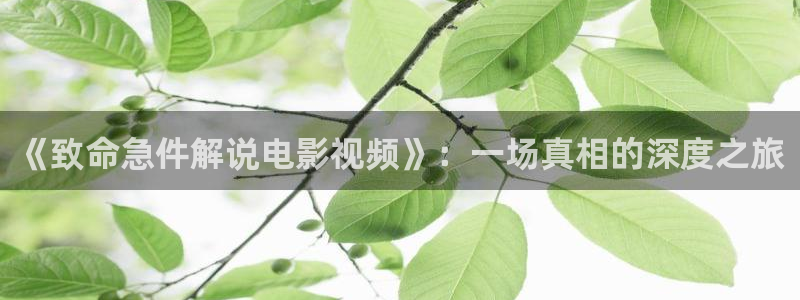 什么樱花视频最色