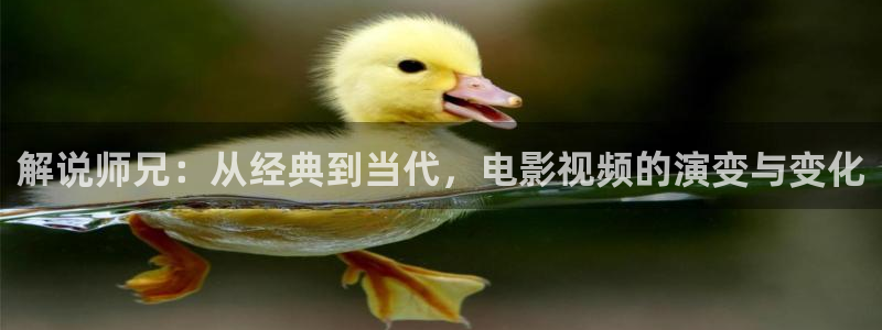 樱花视频17
