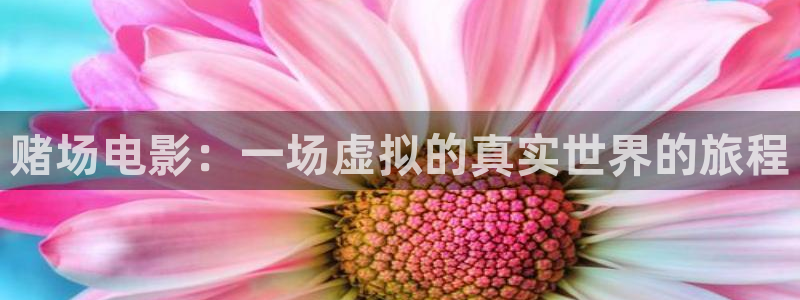 樱花视频导航
