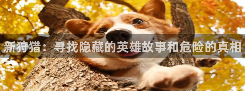 overflow樱花视频