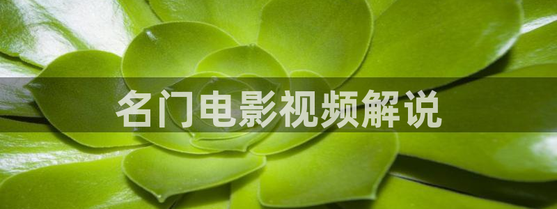 樱花影院电视剧免费魅影