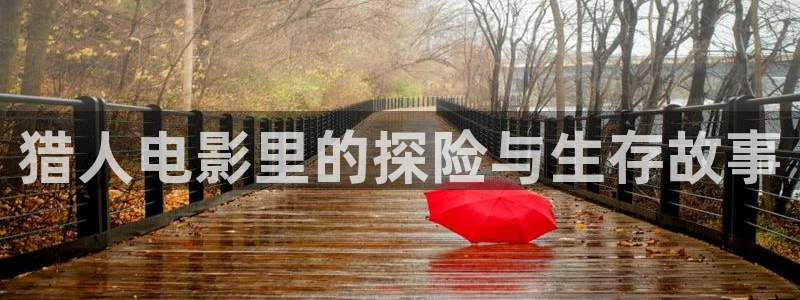 樱花视频yh