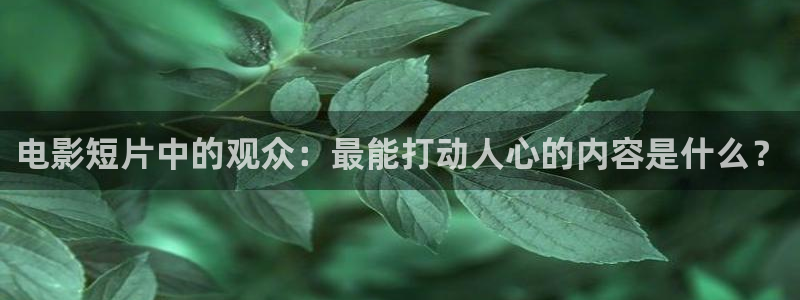 樱花影视免费在线看