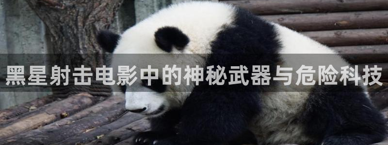 在线免费观看樱花影院