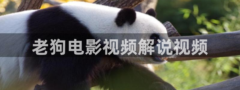 樱花视频app