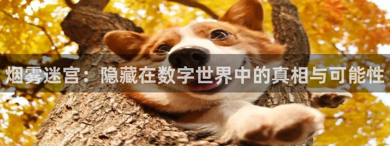 什么樱花视频最色