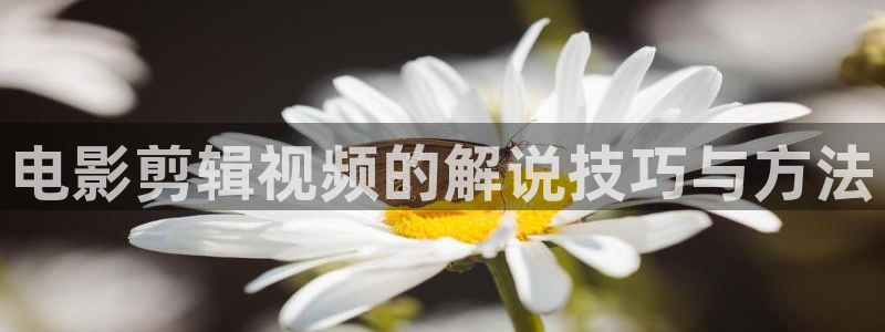 樱花视频在线观看免费完整版大全