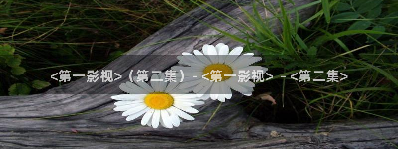 樱花视频高清完整视频