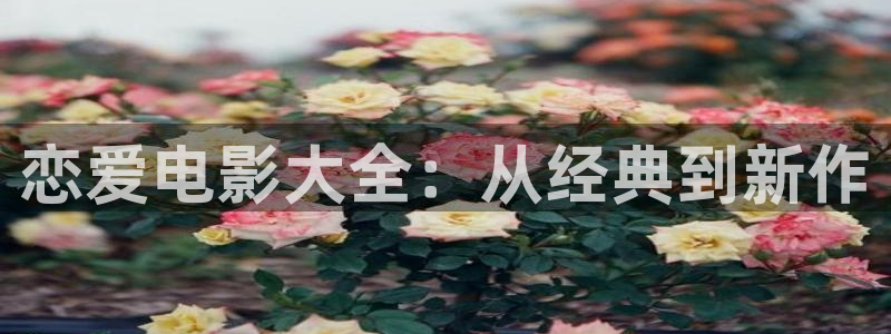w17c樱花视频