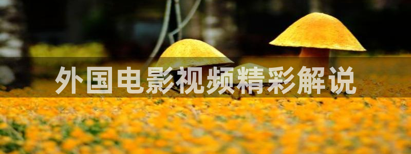 樱花影院电视剧在线看免费观看