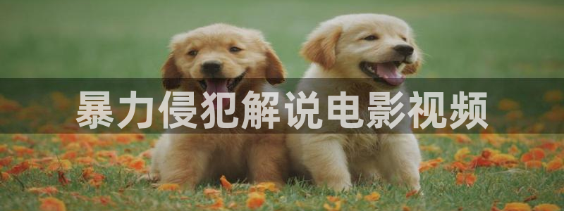 樱花视频成人