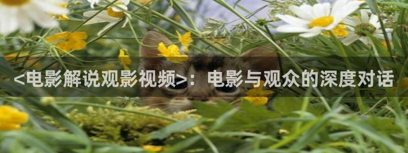 樱花视频热门电视剧有哪些