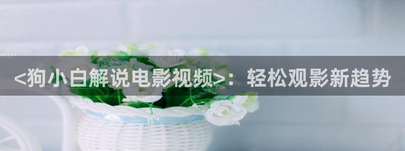 总之就非常可爱第二季樱花视频