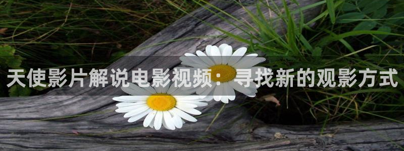 樱花视频78