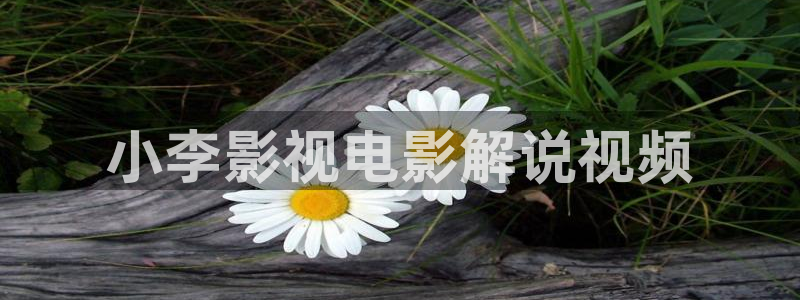 樱花视频www在线观看