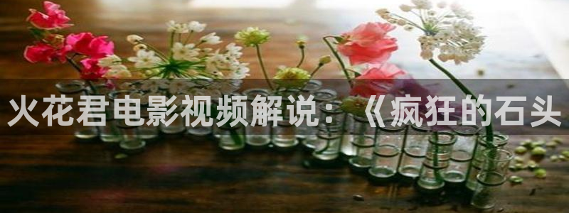 樱花视频在线观看免费播放电视剧