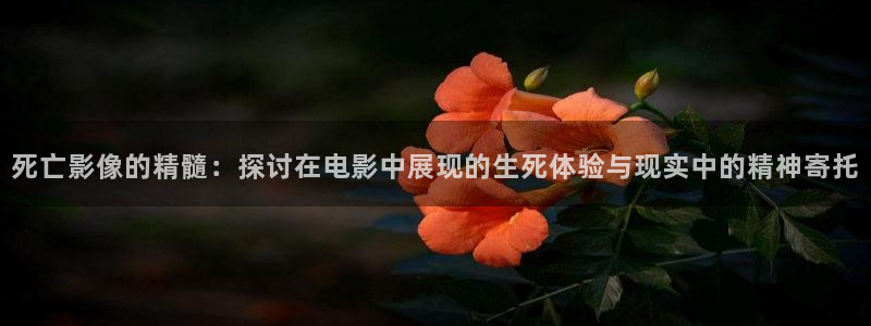 .樱花视频