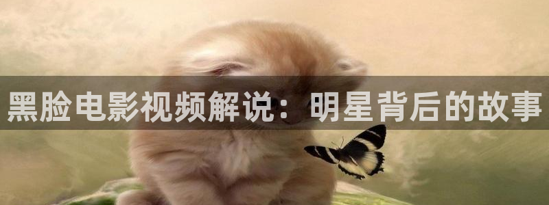 樱花视频mv