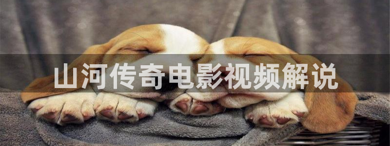 樱花视频app官网