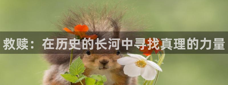 樱花视频成人