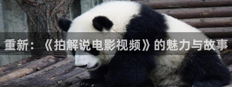 樱花视频tv