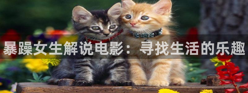 樱花影院在线观看高清电视剧下载