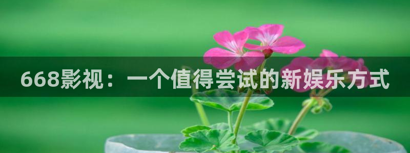 樱花视频精品在线
