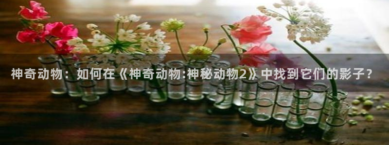 樱花视频wwww