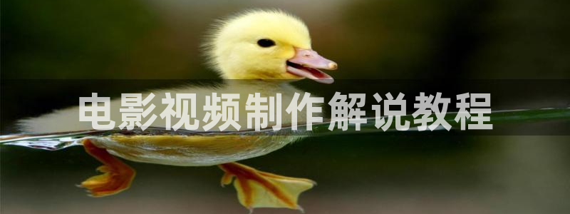 樱花影院在线观看