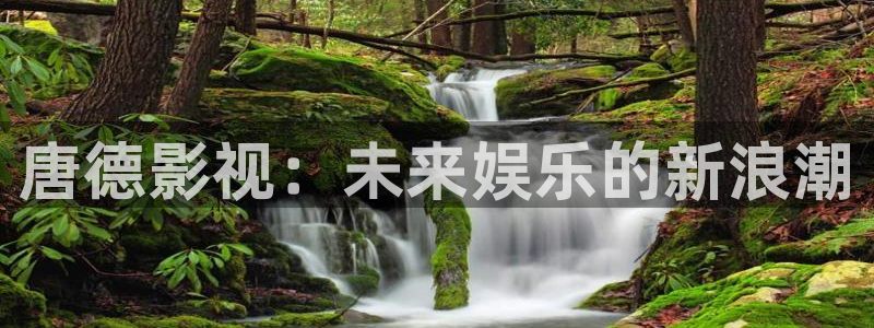 樱花视频好爽