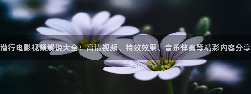 雷火剑动漫在线观看全集免费樱花影院