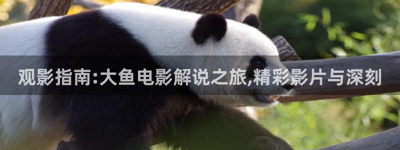 久久樱花影院