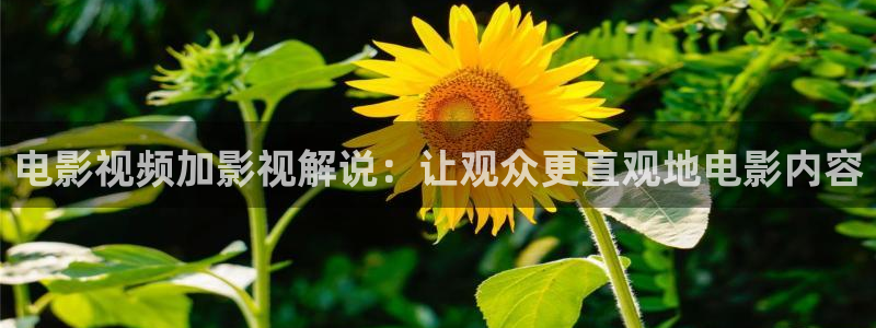 樱花影院电视剧在线观看