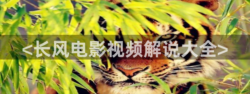 樱花影视网官网