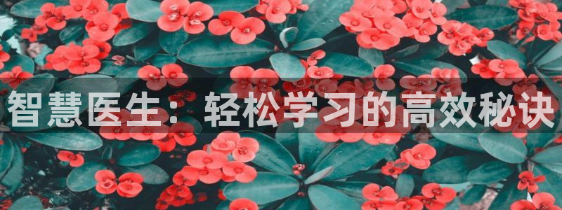 樱花视频wwww