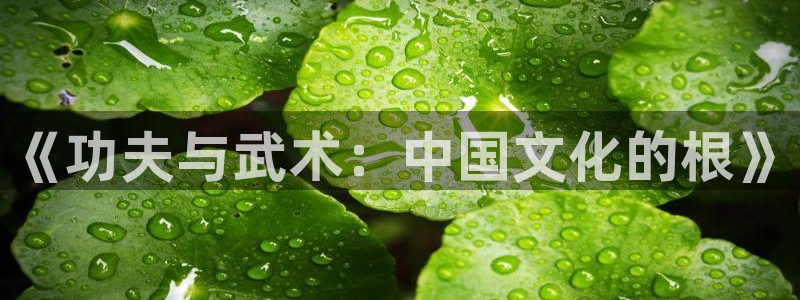 樱花视频在线观看电视剧免费