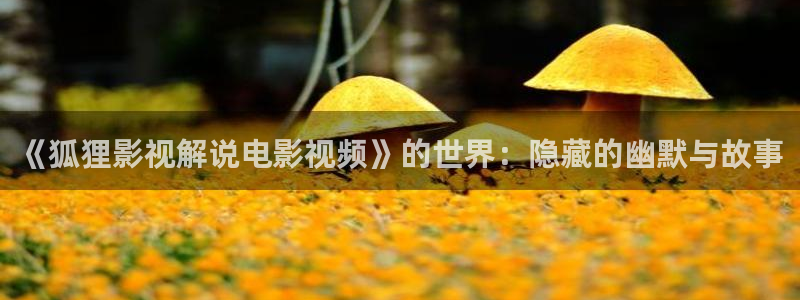 黑白禁区樱花视频：《狐狸影视解说电影视频》的世界：隐藏的幽默与故事