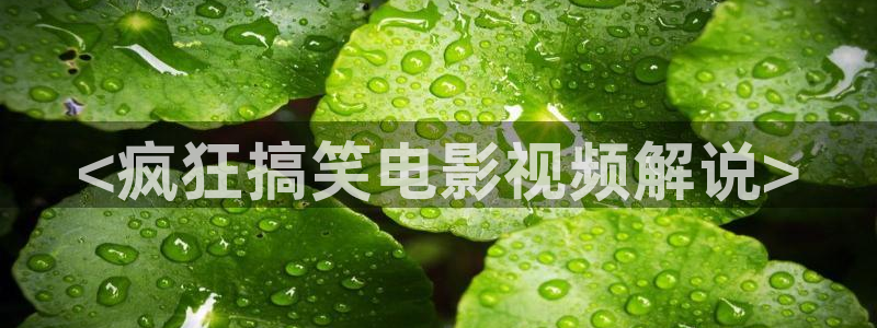 日本樱花视频真人版