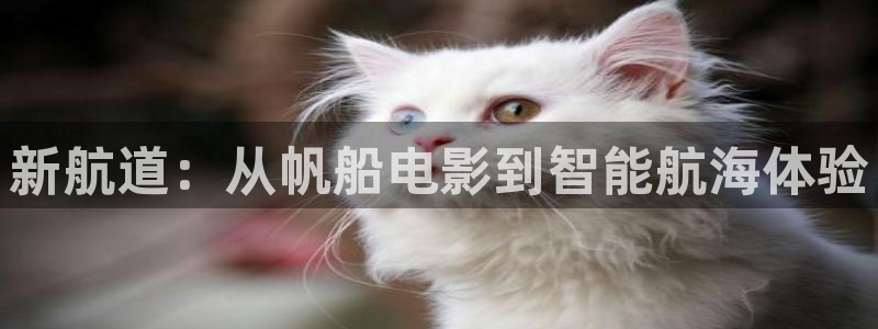 全职法师第6季樱花视频