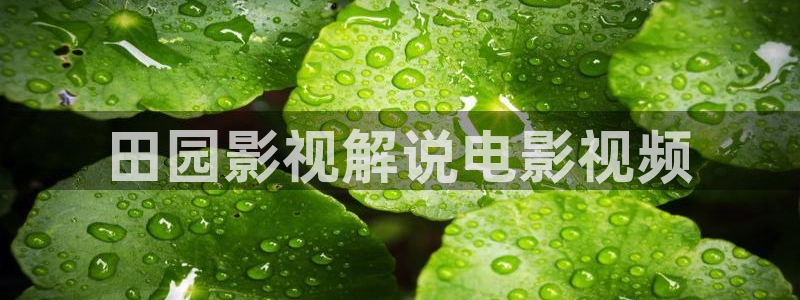 樱花视频动漫免费看