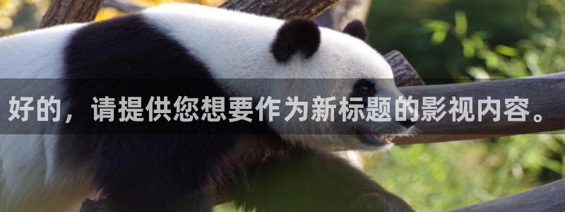 樱花视频在线观看免费高清电视剧