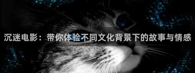 樱花影视在线观看电视剧全集免费播放